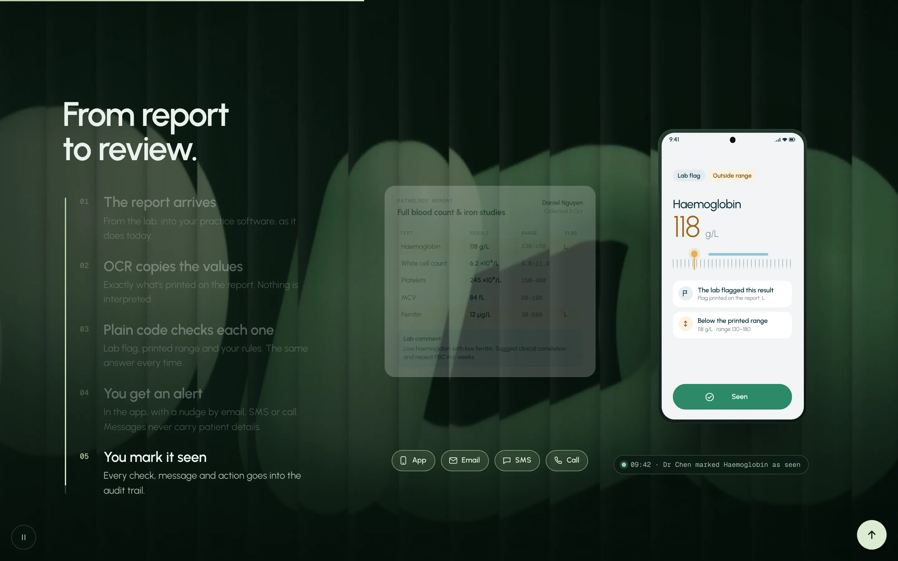 BloodLine website, step 5 'You mark it seen': a phone showing the alert with a green Seen button, delivery chips for App, Email, SMS and Call, and an audit line.